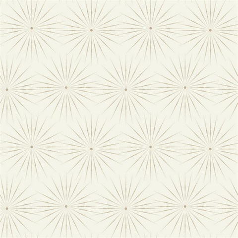 White & Pewter Starlight Modern Metallic Sunburst Dots