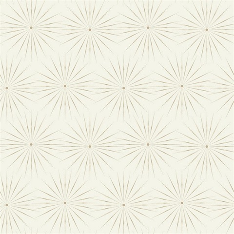 White & Pewter Starlight Modern Metallic Sunburst Dots