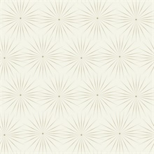 White & Pewter Starlight Modern Metallic Sunburst Dots