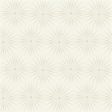 White & Pewter Starlight Modern Metallic Sunburst Dots