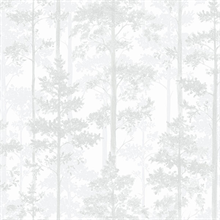 White Pine Tree Wallpaper