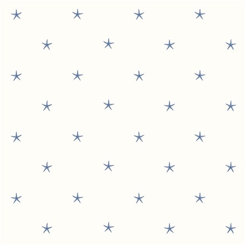 White Sands Blue Starfish