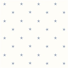 White Sands Blue Starfish