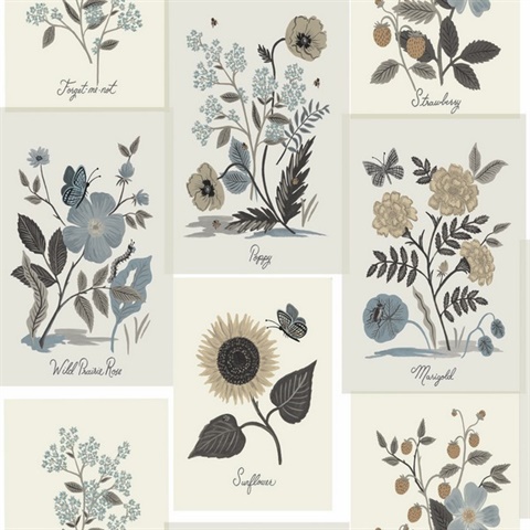 White & Slate Blue Botanical Pinboard Floral Prints Wallpaper