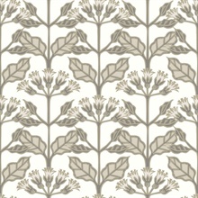White &amp; Taupe Tracery Blooms Wallpaper