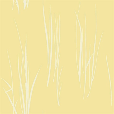 White & Yellow Commercial Grasses Wallpaper