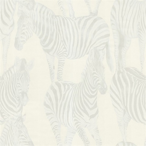 Whites Zebra Toile Carina Wallpaper