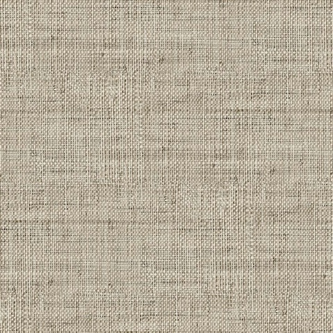 Wild Bind 54 Latte Type II Commercial Wallpaper