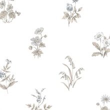 KE29935 - Creative Kitchens | Wild Flower Spot Wallpaper | Wallpaper ...