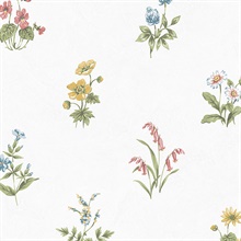 Wild Flower Spot Wallpaper