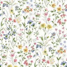 Wildflowers Floral Multicolored Peel and Stick Wallpaper