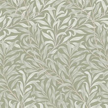 Willow Bough Sage Victorian Vine Leaf Wallpaper