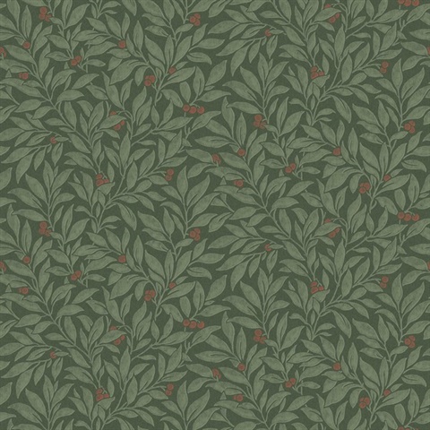 Winter Berry Evergreen Vine Wallpaper