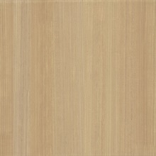 Wood Veneer Honey Wallpaper