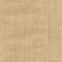 Xia Beige Grasscloth