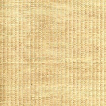 Xiao Hong Light Brown Grasscloth