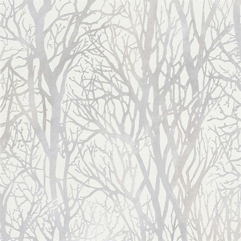 Yasuo Cream Birch Tree Branch Textured Wallpaper