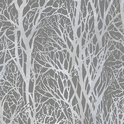 Yasuo Dark Grey Birch Tree Branch Textured Wallpaper