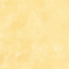 Yellow Smug Faux Wallpaper