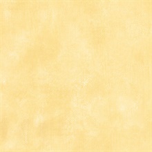 Yellow Smug Faux Wallpaper