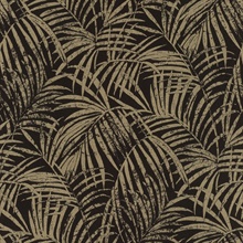 Yumi Black &amp; Gold Tropical Palm Leaf Wallpaper