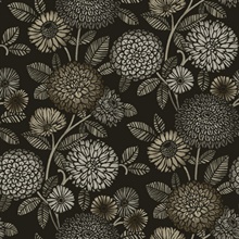 Zalipie Black Floral Trail Wallpaper
