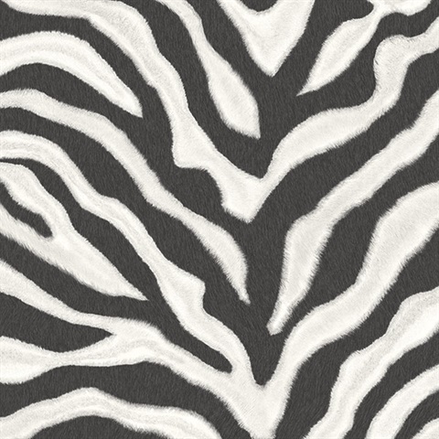 Zebra Texture