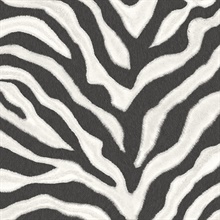 Black &amp; White Vertical Zebra Wallpaper Black and White