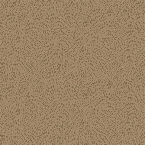 Zen Geometric Dots Wallpaper