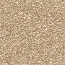 Zen Geometric Dots Wallpaper