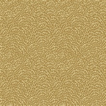 Zen Geometric Dots Wallpaper