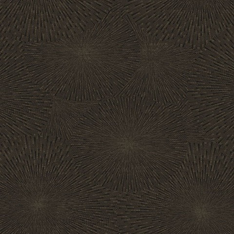 2959-SDM04007 | Zion Black Starburst Wallpaper