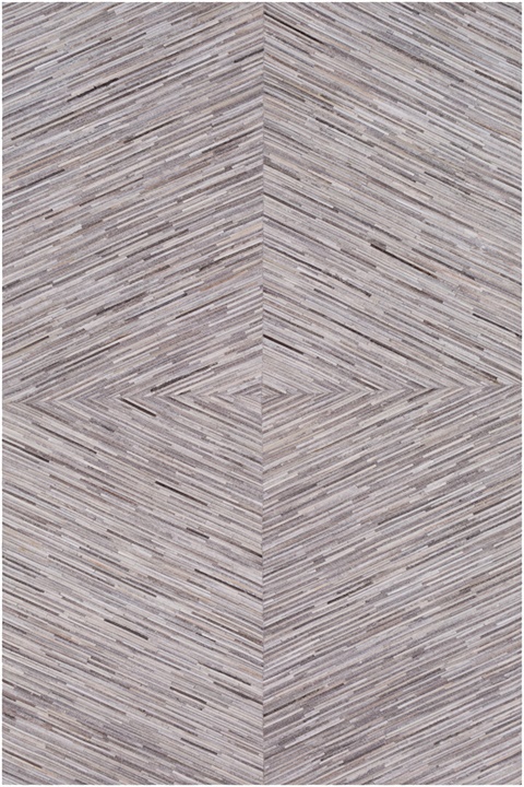 ZND1003 Zander - Area Rug