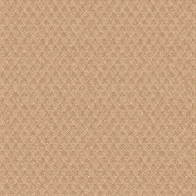 Zoey Rust Harlequin Texture