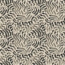 Zora Wave Charcoal Swirl Wallaper